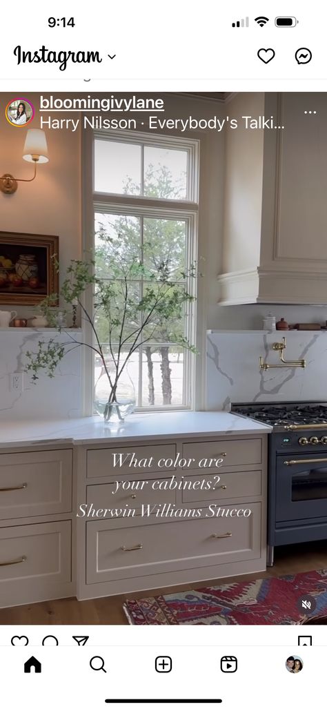 Stucco Cabinets, Stucco Sherwin Williams, Sherwin Williams Stucco, Stucco Paint, Cabinet Paint Colors, Kitchen Remodel Design, Starter Home, Kitchen Cabinet Colors, Shower Remodel