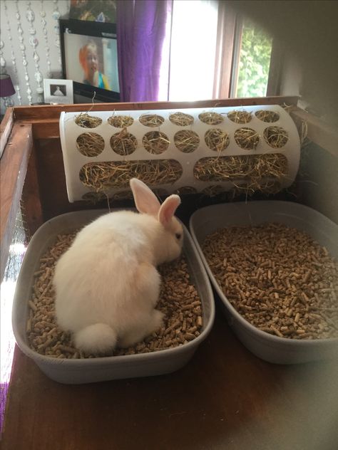 Rabbit litter tray and hay feeder diy ikea Rabbit Hay Feeder And Litter Tray, Diy Bunny Feeder, Diy Rabbit Accessories, Diy Bunny Litter Tray, Diy Hay Feeder Rabbit, Rabbit Hay Feeder Diy, Rabbit Litter Tray, Diy Bunny Cage, Bunny Litter Box