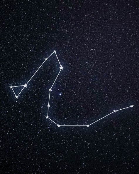 Draco Constellation Tattoo, Draco Constellation, Constellation Tattoo, Constellation Tattoos, City Aesthetic, Constellations, Tattoo Ideas, Neon Signs, Tattoos