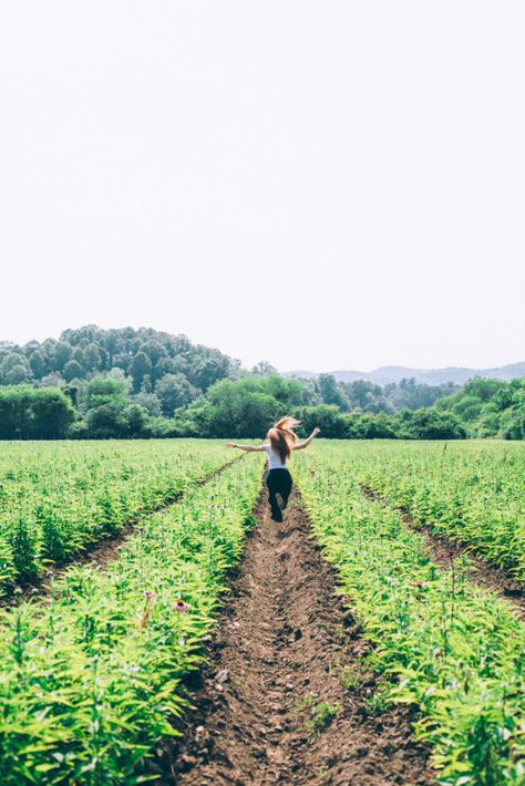 Organic Farming Aesthetic, Organic Farm Aesthetic, Herb Farming, Farming Aesthetic, Farm Instagram, Agriculture Photography, Sustainable Farm, North Caroline, Farm Work