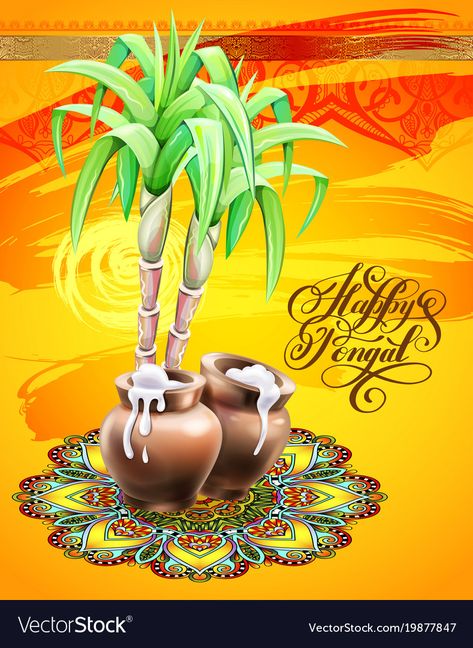 Happy Pongal Images, Funny Cow Pictures, Pongal Greetings, Pongal Greeting Cards, Sankranti Images, Wishes Board, Happy Makar Sankranti Images, Pongal Images, Tamil Greetings