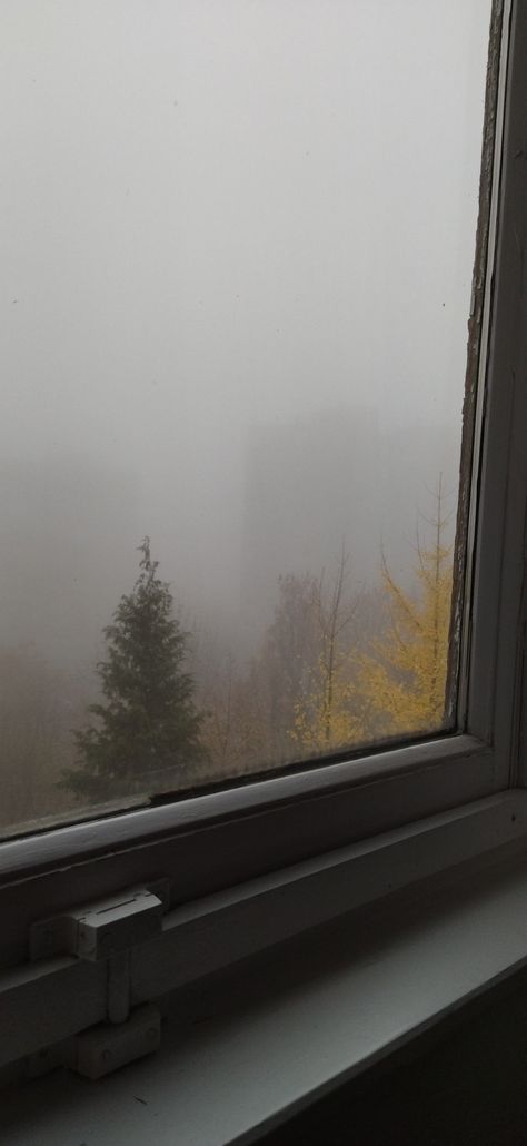 Foggy Morning Wallpaper, Fog In The Morning, Early Morning Aesthetic Wallpaper, Goblincore Lockscreen, Fog On Window, Foggy Window Aesthetic, Cozy Lockscreen, Foggy Morning Aesthetic, Foggy Wallpaper