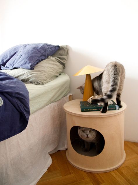 LABA Cat Furniture, Cat Table, Pet Sofa, Cat House, Plywood Table, Coffee Table, Modern Cat Design - Etsy Side Bed Table, Cat Table, Cat Furniture Design, Plywood Table, Cat Parents, Side Bed, Modern Cat Furniture, Coffee Table Modern, Pet Sofa