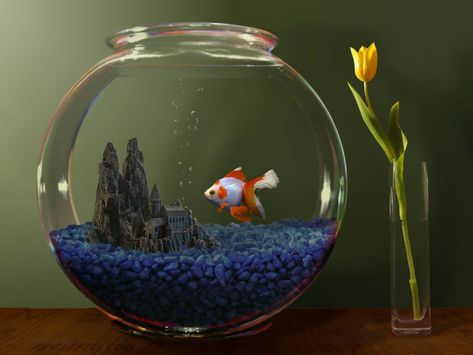 Fish Bowl Centerpiece Wedding, Fish Bowl Ideas, Fish Tank Home, Fish Bowl Decorations, Betta Fish Bowl, Fish Tank Themes, Fish Tank Design, Bowl Ideas, Pretty Fish