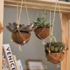 Coconut Plant, Shell Hanging, Koti Diy, Hanging Plants Diy, Coconut Shell Crafts, Diy Hanging Planter, Planter Garden, Plant Pot Diy, Diy Macrame Plant Hanger