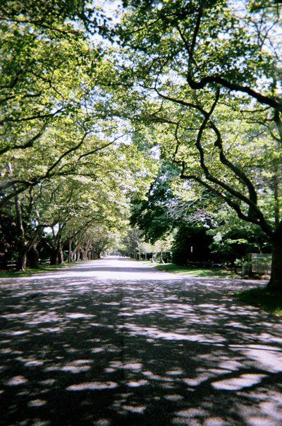 Lily Pond Lane, East Hampton, NY Running Path, Hamptons Beach, Westhampton Beach, Hampton Style, Washington Dc Travel, Camera Film, Fire Island, Block Island, Grey Gardens