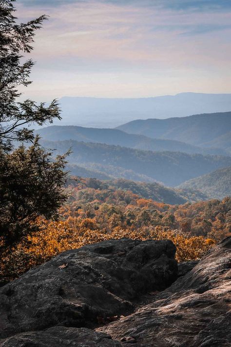 Fall landscape seen from a Skyline Drive overlook in Virginia's Shenandoah National Park Shenandoah National Park Virginia, Shenandoah National Park Aesthetic, Great Falls Park Virginia, Shanendoah National Park, Skyline Drive Shenandoah National Parks, Shenandoah Wedding, Wv Mountains, Skyline Drive Virginia, Morgan Core