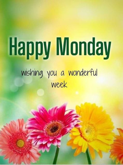 Good Morning Blessings Monday, Good Morning Happy Monday New Week, Happy Monday Morning Inspiration, Monday Blessings New Week, Monday Good Morning Wishes, Monday Morning Wishes, Kisses Quotes, Monday Morning Blessing, Magic Monday