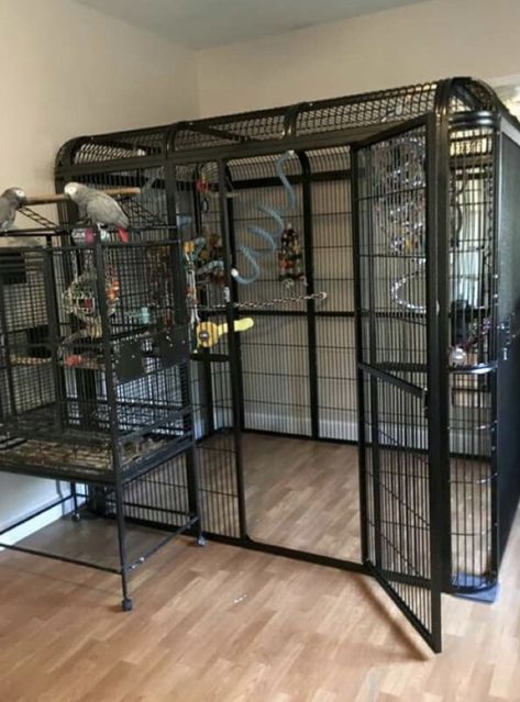 Pet Bird Enclosure, Huge Bird Cage, Cockatiel Enclosure, Macaw Cage Ideas, Big Bird Cage Ideas, Macaw Enclosure, Budgie Enclosure, Indoor Aviary Ideas, Budgie Cage Ideas