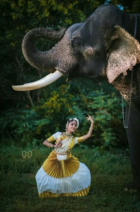 Elephants Aesthetic, Elephants Photography, Elephants Wallpaper, Asiatic Elephant, Elephant Photo, Bharatanatyam Poses, Dance Of India, Elephant Photography, Kerala Travel