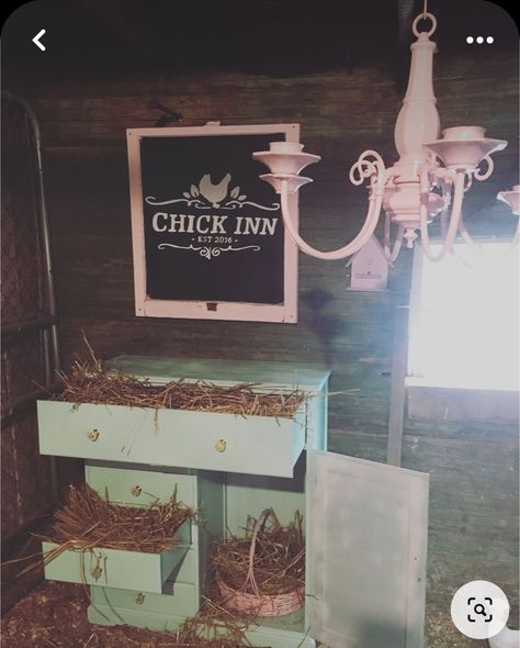 Chicken Coop Made From Dog Kennel, Repurposed Furniture Chicken Coop, Lights In Chicken Coop, Old Shed Into Chicken Coop, Diy Chicken Coop Decor Ideas, Decorated Chicken Coop Ideas, Chicken Coop Chandelier, Old Shed Chicken Coop, Diy Chicken Coop Decor