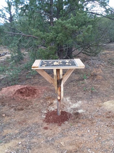 I bought a window screen on clearance years ago with a plan to make a platform feeder. Never happened. Until now! My hubbie built this out of a pallet and used a fallen branch for the post. It's rustic and sturdy and MUCH more than I could have hoped for! Crow Platform Feeder, Bird Platform Feeder Diy, Bird Feeder Platform, Diy Crow Feeder, Pallet Bird Feeder, Crow Feeder Diy, Crow Feeder, Crow Facts, Aviary Ideas