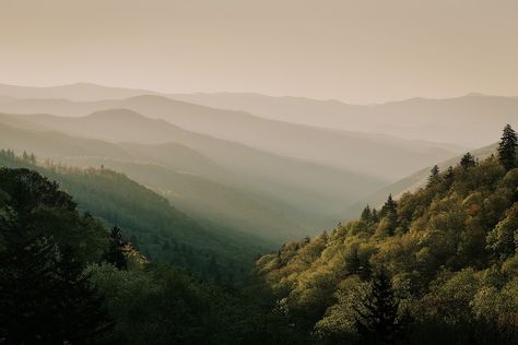 Great-Smoky-Mountains-Renee-Roaming Great Smoky Mountains Photography, Smokey Mountains Tennessee Aesthetic, Great Smoky Mountains Aesthetic, Smoky Mountain Painting, The Great Smoky Mountains, Renee Roaming, Eastern Tennessee, Clingmans Dome, Smokey Mountains Vacation