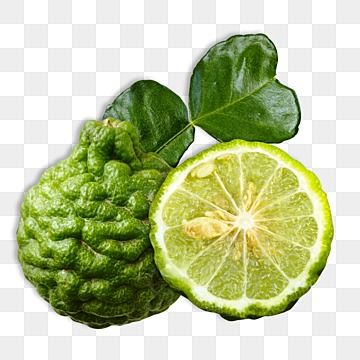 bergamot fruit cut half with leaf,bergamot orange,leaf bergamot green,bergamot fruit,bergamot,seed bergamot,fruit green,lime clipart,juicy,bergamot clipart,bergamot cut half,nature bergamot,plant clipart,lime juicy,organic Lime Clipart, Bergamot Plant, Lime Cocktails, Soup Aesthetic, Lime Margarita Recipe, Bergamot Fruit, Plant Clipart, Flavored Margaritas, Green Png