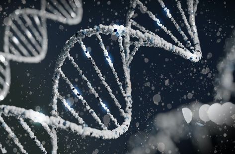 A new study links a specific genetic mutation to a higher intelligence, with debilitating consequences. https://thedebrief.org/a-genetic-mutation-can-boost-your-intelligencebut-also-cause-you-to-go-blind/ Human Height, Rare Genetic Disorders, Genetic Diseases, Human Dna, Human Genome, Gene Therapy, Genetic Engineering, Genetic Mutation, Genetic Disorders