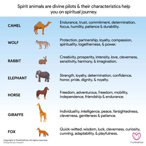 54 Spirit Animal List | Spirit Animal List and Their Meanings | TheMindFool Animal Omens Meaning, Animal Guides Spiritual, Animal Meanings Tattoos, Spiritual Animal Meanings, Charector Ideas, Animals And Their Meanings, Spirit Animal List, Animal Omens, Dragonfly Meaning