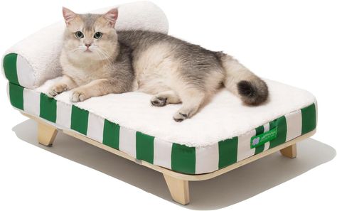 MEWOOFUN Cat Bed for Indoor Cats, Elevated Cat Bed with Nonskid Bottom, Orthopedic Dog Bed for Small Dogs with Removable Washable Cover, Wooden Modern Pet Furniture, Green & White Elevated Cat Bed, Modern Pet Furniture, Wooden Cat House, Cat Couch, Pet Sofa Bed, Pet Couches, Cat Litter Box Furniture, Bed Modern, Pet Sofa