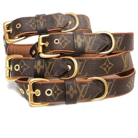 Lv Handbag, Designer Dog Collars, Dog Fashion, Dog Rooms, Designer Dog, Lv Handbags, Dog Collars, Dog Harness, Doberman