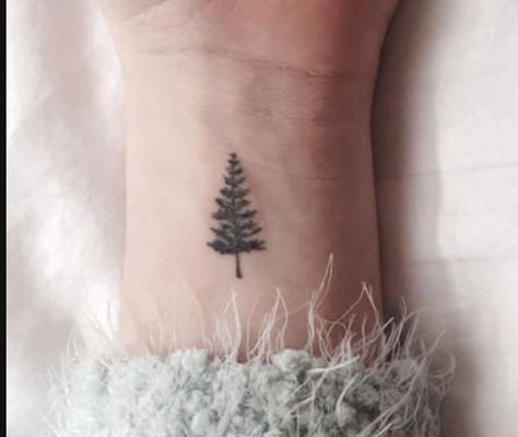 3 Pine Trees Tattoo, Eastern White Pine Tree Tattoo, Small Evergreen Tree Tattoo, Red Rising Tattoo Ideas, Bristlecone Pine Tattoo, Fine Line Pine Tree Tattoo, Simple Pine Tree Tattoo, Ponderosa Pine Tattoo, Pine Tree Tattoos For Women