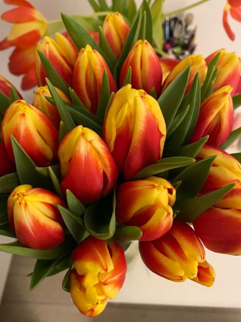 red tulips, yellow tulips, red and yellow tulips Red Tulips Bouquet, Red And Yellow Tulips, Beautiful Tulips, Sunset Rose, Red Bouquet, Orange Tulips, Fresh Flower Bouquets, Tulips Garden, Tulips In Vase