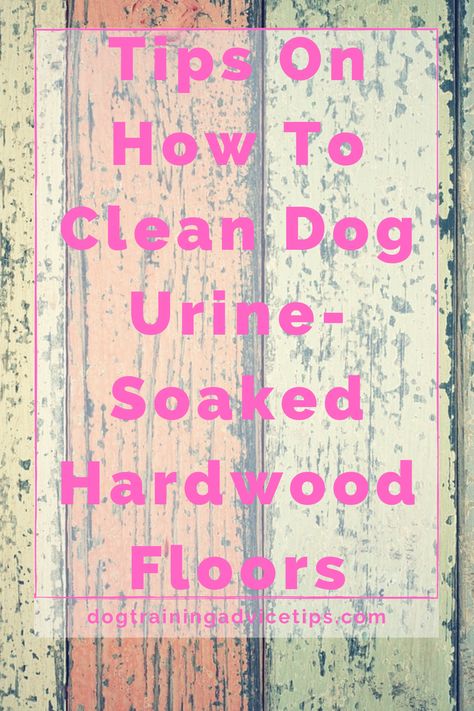 Hardwood floor cleaner