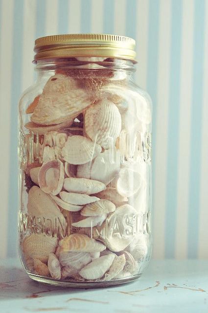 Seashell Jar, Beach Jar, Pretty Shells, Shell Storage, Collecting Shells, Seashell Collection, Shell Display, I Need Vitamin Sea, Memory Jar