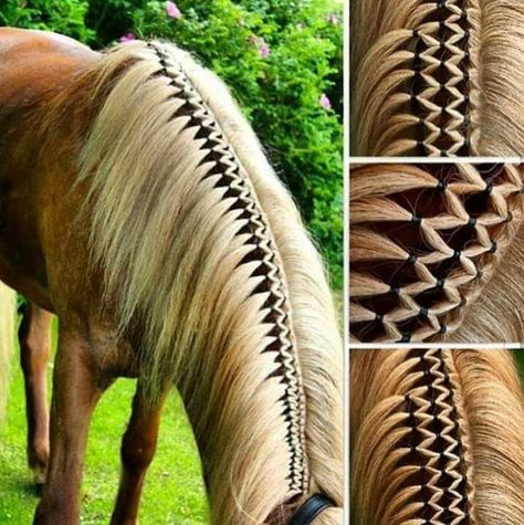 Horse Mane Braids, Horse Hair Braiding, Horse Braiding, Crochet Hairstyles, Horse Care Tips, Horse Riding Tips, Horse Mane, Horse Tail, Horse Tips