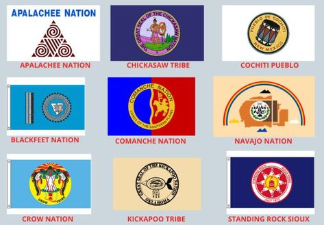 Examples of other famous Native American flags. Chickasaw Tribe, Native American Flag, Sioux Tribe, Shamanic Journey, Standing Rock, Navajo Nation, American Flags, Native American Tribes, Sioux