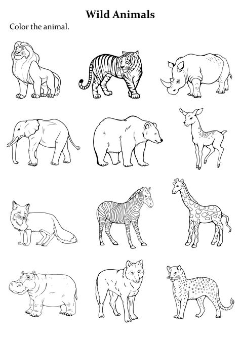 Wild Animals Outline, Outline Animals, Wild Animals Coloring Pages, Outlines Drawing, Summer Animals, Zoo Animal Coloring Pages, Coloring Animals, Shape Coloring Pages, Animal Outline