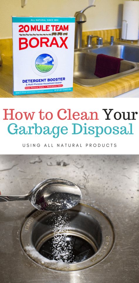 Clean Garbage Disposal, Garbage Disposal Cleaning, Cleaning Window Tracks, Clean Hacks, Disposal Cleaner, Cleaning Painted Walls, Deep Cleaning Tips, Household Cleaner, Garbage Disposal