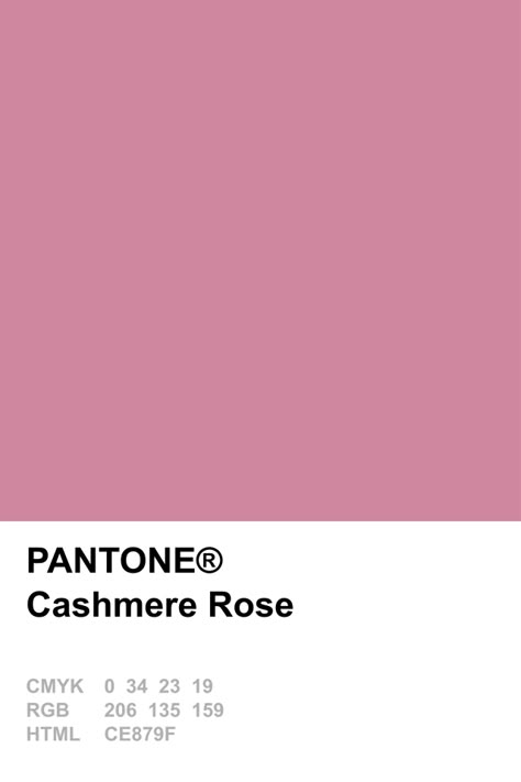 Pantone 2015 Cashmere Rose                                                                                                                                                                                 More Pink Pantone, Pantone 2015, Pantone Swatches, Pantone Palette, Pantone Colour Palettes, Pantone Colors, Color Trends Fashion, Pastel Decor, New Painting