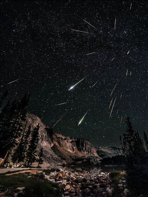 So, the Perseids meteor shower was pretty magical. Perseids Meteor, Perseid Meteor Shower, Earth Photos, Meteor Shower, Earth From Space, To Infinity And Beyond, The Night Sky, Shooting Stars, Out Of This World