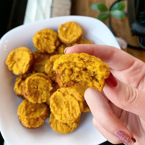 Arbonne Pumpkin Spice Protein Recipes (Gluten-Free Vegan) - Smart Mom Blogger | Work From Home Mom Lifestyle Blog Pumpkin Spice Protein Shake, Arbonne Protein, Arbonne Nutrition, Healthy Dessert Options, Work From Home Mom, Arbonne Recipes, Pumpkin Pie Spice Mix, Daily Protein, Healthy Living Recipes