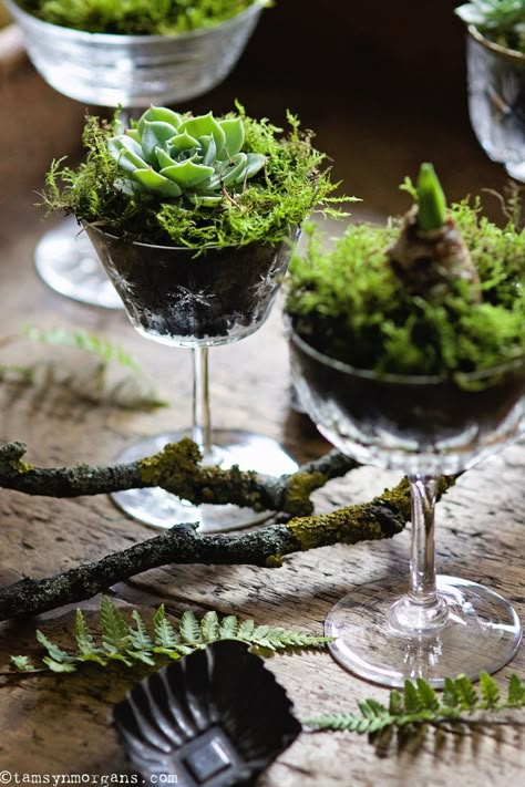 Tamsyn Morgans | Four Ways To Upcycle Vintage Glasses Natural Arrangements, Glassware Crafts, Upcycle Vintage, Vintage Crockery, Garden Bulbs, Selling Prints, Vintage Planters, Craft Projects For Kids, Spring Ideas