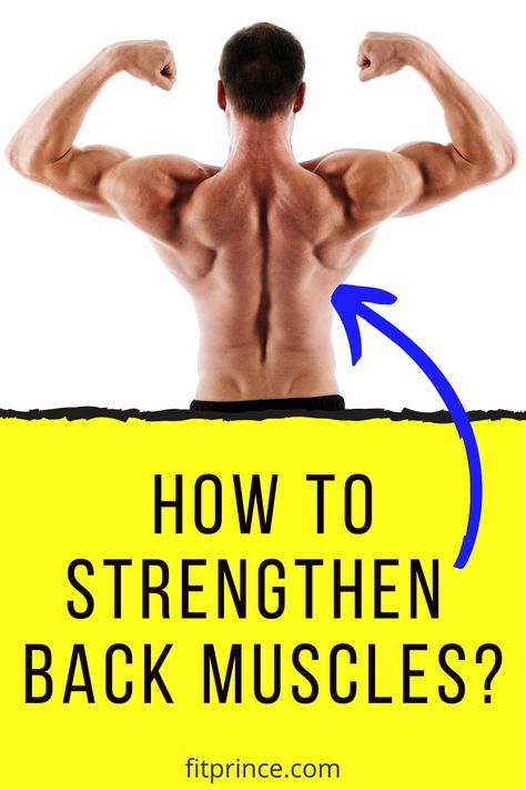 How to Strengthen Back Muscles? Strengthen Back Muscles, Strengthen Back, Work Out Routines Gym, Workout Routine For Men, Strong Back, Sedentary Lifestyle, Leg Muscles, Workout Plans, Back Muscles