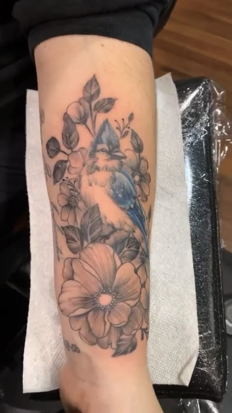 Bluejay Cardinal Tattoo, Bluebird Memorial Tattoo, Blue Jay With Flowers Tattoo, Blue Jay Tattoo Black And White, Heart Anatomy Tattoo, Bluejay Tattoo, Blue Jay Tattoo, Jay Tattoo, Bird And Flower Tattoo