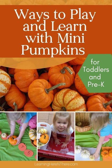 Pumpkin Crafts Preschool, Pumpkin Activities Preschool, Pumpkin Learning, Pumpkins Preschool, Activity Books For Toddlers, Toddler Themes, Fall Preschool Activities, Pumpkin Activities, Fall Kindergarten