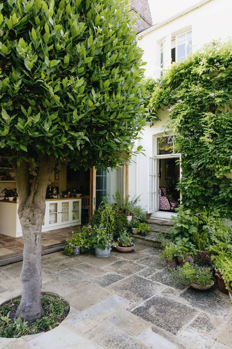 Circular Lawn, Growing Organic Vegetables, York Stone, Small Flower Pots, London Garden, Garden Architecture, Victorian Terrace, Spring Bulbs, City Garden