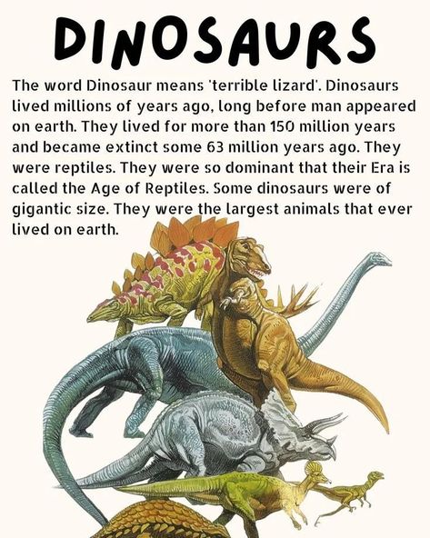 DINOSAURS 🦖 #dino #paleontology #wpf Facts About Dinosaurs, Dinosaur Unit Study, Dinosaur Information, Dinosaurs Extinction, Dinosaur History, Dinosaur Activities Preschool, Dinosaur Facts, Dinosaur Room Decor, Dinosaur Era