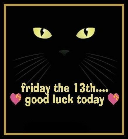 Friday The 13 Quotes Funny, Friday The 13th Quotes, Friday The 13th Funny, Halloween Friday The 13th, Good Luck Today, Special Friendship Quotes, Happy Friday The 13th, Friday Images, Week Quotes