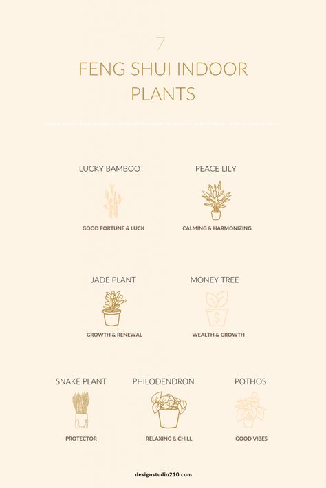 feng shui indoor plants Feng Shui Bedroom Plants, What Is Feng Shui, Feng Shui Aesthetic, Feng Shui Hallway, Feng Shui Studio Apartment, Feng Shui Bedroom Decoration, Feng Shui Indoor Plants, Feng Shui Bedroom Decor, Feng Shui Money Corner