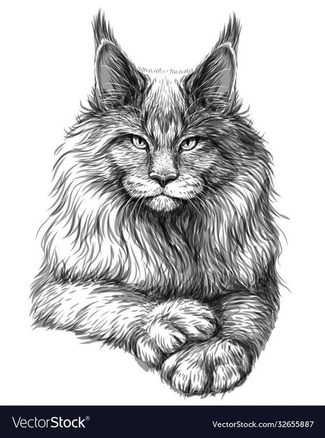 Cat And Dog Tattoo, Cat Tattoo Designs, Cat Stock, Cat Sketch, Image Swag, Cat Coloring Page, Dark Art Drawings, Cat Graphic, Animal Sketches