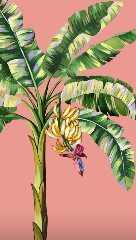 Banana Plant Illustration, Banana Plant Painting, Tropical Plant Art, Tropicalia Art, Tropical Plants Painting, Banana Tree Drawing, Banana Leaf Mural, Banana Leaf Illustration, Bananas Illustration