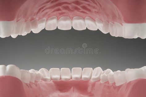 Mouth With Teeth Drawing, Mouth And Teeth Drawing, Sharp Teeth Mouth Reference, Teeth And Mouth Digital Photos, Sharp Teeth Mouth Drawing, Inside Of Mouth, Teeth Background, Inside Mouth, Teeth Images