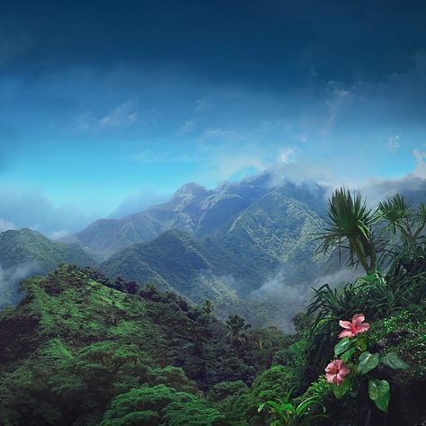 The mountains of Fiji 🇫🇯 Melanesia, Pacific Islands Pretty Landscapes, Nature Aesthetic, Pretty Places, Island Life, Travel Aesthetic, Mother Earth, Pretty Pictures, Beautiful World, Beautiful Landscapes