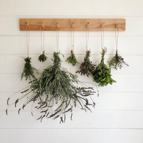 Herbs In The Kitchen, Thieves Spray, Herb Drying, Hanging Herbs, Hanging Plants Indoor, Lavender Sage, Dried Herbs, Canning Jar, Rosemary Mint