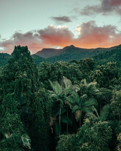 SALTY WiNGS on Instagram: "A Balmy sunset in the Kuku Yalanji (The Daintree)" Aerial Landscape, Australia Landscape, Daintree Rainforest, Beautiful Landscape Photography, Australian Photographers, Photography Prints, Coastal Beaches, Queensland Australia, Classic Frame