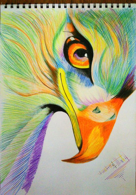 Eagle+pencil+colour+art Eagle Sketch, Shoe Art Drawing, Eagle Drawing, Color Pencil Sketch, Creative Drawing Ideas, Dress Sketch, Color Drawing Art, Art Drawing Ideas, Colour Art