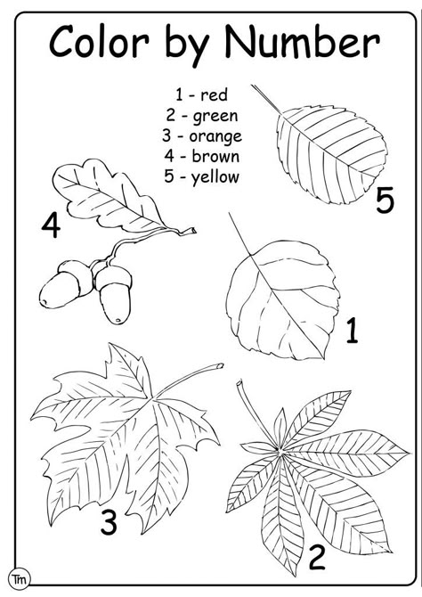 Free Fall Leaves Worksheets for Preschool and Kindergarten | TeachersMag.com Leaves Preschool Theme, Preschool Fall Leaves, Preschool Leaves, Fall Worksheets For Kids, Leaves Preschool, Kindergarten Fall Worksheets, Fall Leaves Activities, Fall Color By Number, Fall Preschool Worksheets