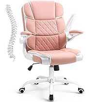 Office Chair Lumbar Support, Pink Desk Chair, White Desk Chair, Comfy Office Chair, Ergonomic Computer Chair, Most Comfortable Office Chair, Office Desk Chairs, Pink Desk, Computer Desk Chair